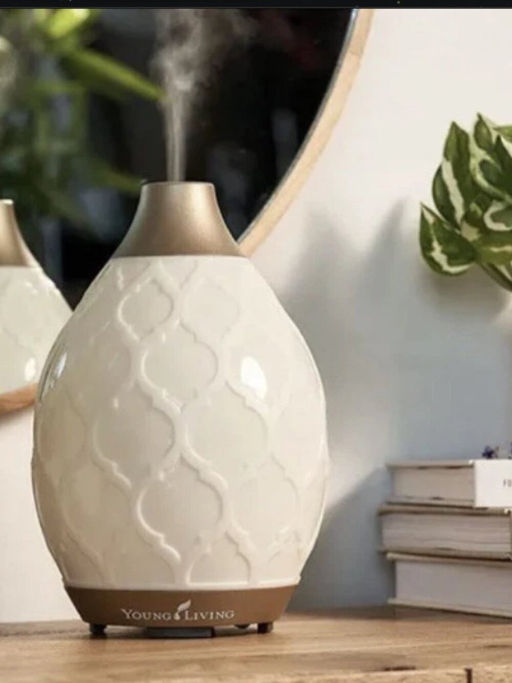 Young Living Desert Mist Ultrasonic Diffuser + Essential Oils NIB Sealed
